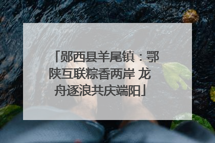 郧西县羊尾镇：鄂陕互联粽香两岸 龙舟逐浪共庆端阳