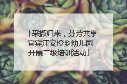 采撷归来，芬芳共享 宜宾江安橙乡幼儿园开展二级培训活动