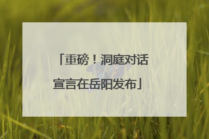 重磅！洞庭对话宣言在岳阳发布