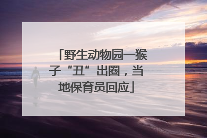 野生动物园一猴子“丑”出圈，当地保育员回应