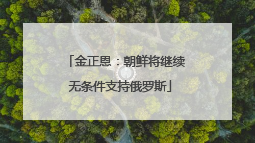 金正恩：朝鲜将继续无条件支持俄罗斯
