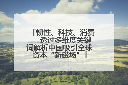 韧性、科技、消费……透过多维度关键词解析中国吸引全球资本“新磁场”