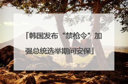 韩国发布“禁枪令”加强总统选举期间安保