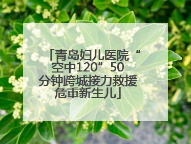 青岛妇儿医院“空中120”50分钟跨城接力救援危重新生儿