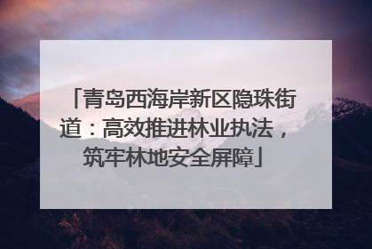 青岛西海岸新区隐珠街道：高效推进林业执法，筑牢林地安全屏障