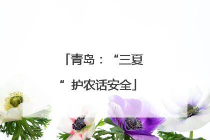 青岛：“三夏”护农话安全