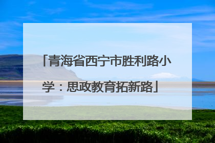 青海省西宁市胜利路小学：思政教育拓新路