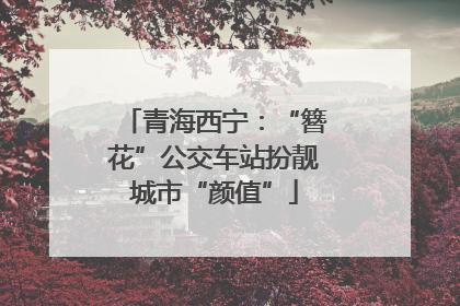 青海西宁：“簪花”公交车站扮靓城市“颜值”