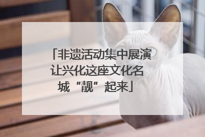 非遗活动集中展演 让兴化这座文化名城“靓”起来