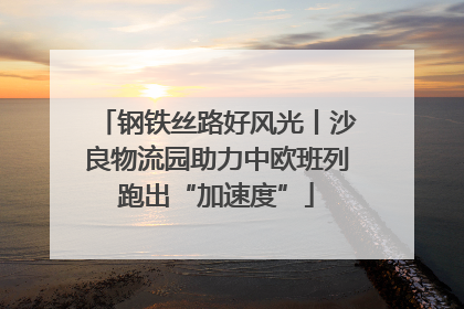钢铁丝路好风光丨沙良物流园助力中欧班列跑出“加速度”