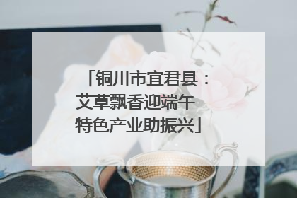 铜川市宜君县：艾草飘香迎端午 特色产业助振兴