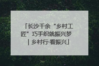 长沙千余“乡村工匠”巧手织就振兴梦｜乡村行·看振兴