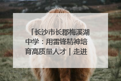 长沙市长郡梅溪湖中学：用雷锋精神培育高质量人才｜走进新时代“雷锋传人 长沙榜样”