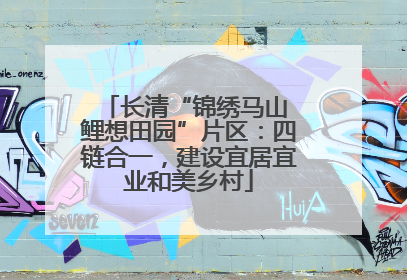 长清“锦绣马山 鲤想田园”片区：四链合一，建设宜居宜业和美乡村