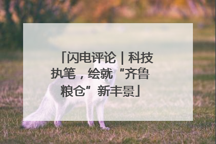 闪电评论｜科技执笔，绘就“齐鲁粮仓”新丰景