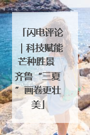闪电评论｜科技赋能芒种胜景 齐鲁“三夏”画卷更壮美
