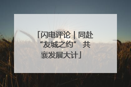 闪电评论｜同赴“友城之约” 共襄发展大计