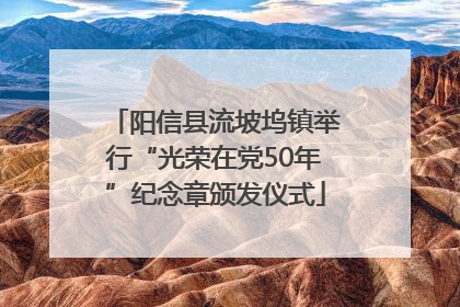 阳信县流坡坞镇举行“光荣在党50年”纪念章颁发仪式