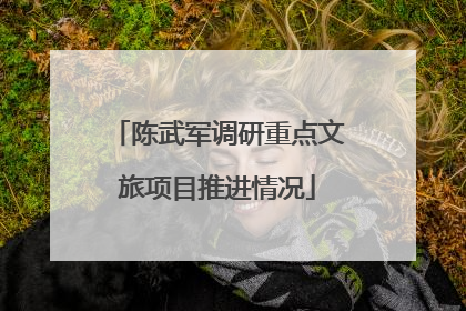 陈武军调研重点文旅项目推进情况