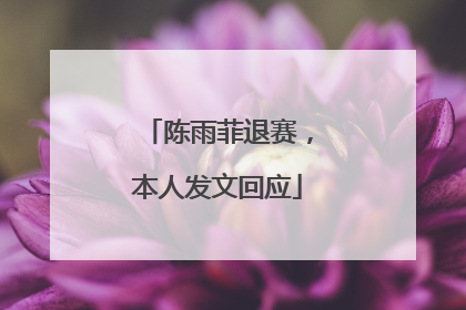 陈雨菲退赛，本人发文回应