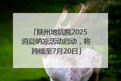 陕州地坑院2025消夏纳凉活动启动，将持续至7月20日