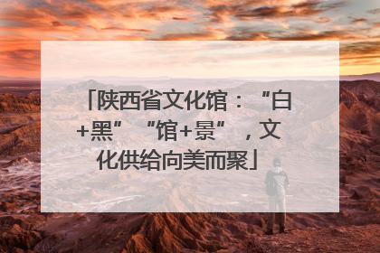 陕西省文化馆：“白+黑”“馆+景”，文化供给向美而聚