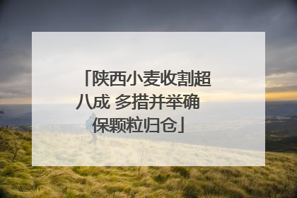 陕西小麦收割超八成 多措并举确保颗粒归仓