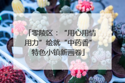 零陵区：“用心用情用力”绘就“中药香”特色小镇新画卷