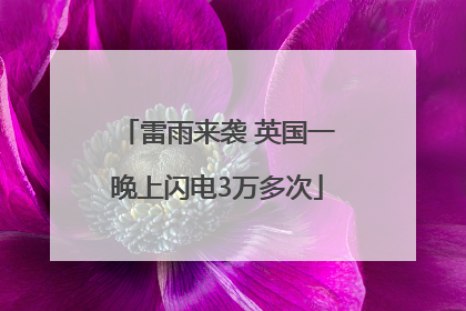雷雨来袭 英国一晚上闪电3万多次