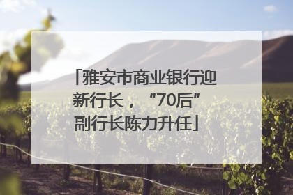 雅安市商业银行迎新行长，“70后”副行长陈力升任