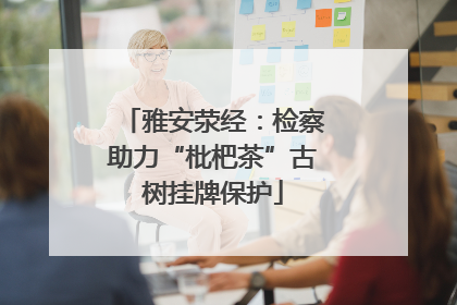 雅安荥经：检察助力“枇杷茶”古树挂牌保护