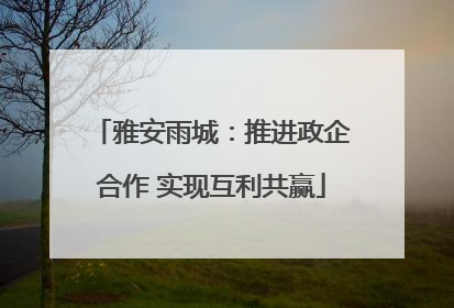 雅安雨城：推进政企合作 实现互利共赢