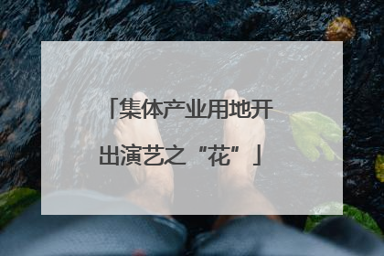 集体产业用地开出演艺之“花”