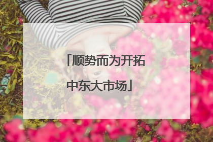 顺势而为开拓中东大市场