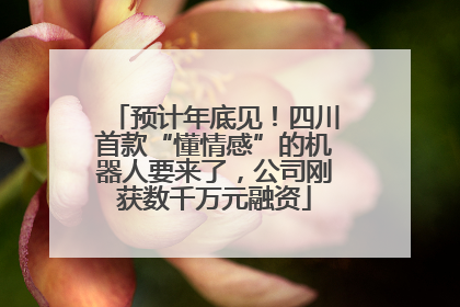 预计年底见！四川首款“懂情感”的机器人要来了，公司刚获数千万元融资