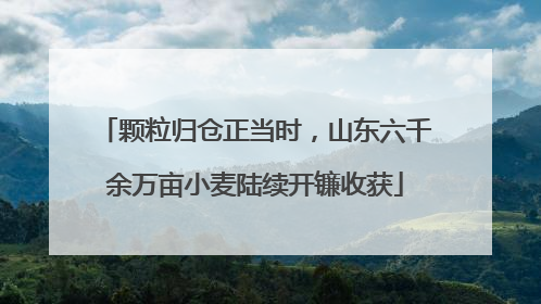 颗粒归仓正当时，山东六千余万亩小麦陆续开镰收获