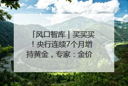风口智库｜买买买！央行连续7个月增持黄金，专家：金价或仍易涨难跌