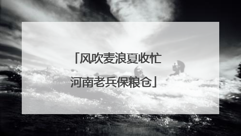 风吹麦浪夏收忙 河南老兵保粮仓