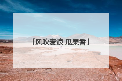 风吹麦浪 瓜果香