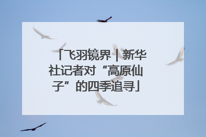 飞羽镜界｜新华社记者对“高原仙子”的四季追寻