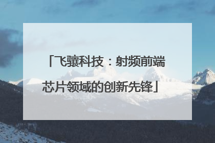 飞骧科技：射频前端芯片领域的创新先锋