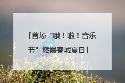 首场“哦！啦！音乐节”燃爆春城夏日