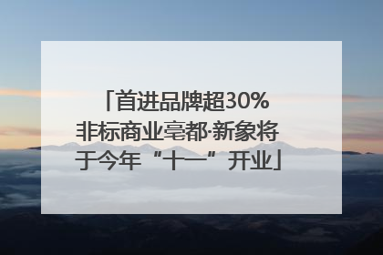首进品牌超30% 非标商业亳都·新象将于今年“十一”开业