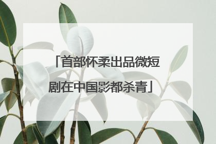 首部怀柔出品微短剧在中国影都杀青