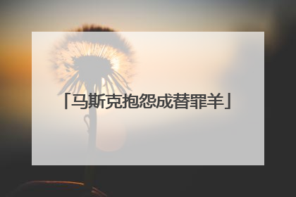 马斯克抱怨成替罪羊