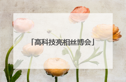 高科技亮相丝博会