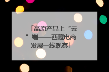高原产品上“云”端——西藏电商发展一线观察