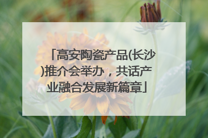 高安陶瓷产品(长沙)推介会举办，共话产业融合发展新篇章
