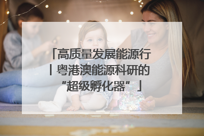 高质量发展能源行丨粤港澳能源科研的“超级孵化器”