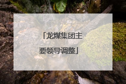 龙煤集团主要领导调整